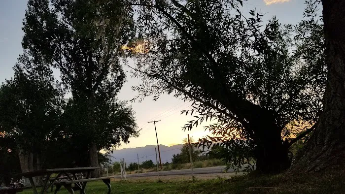 Brown's Town Campgrounds Picture 7