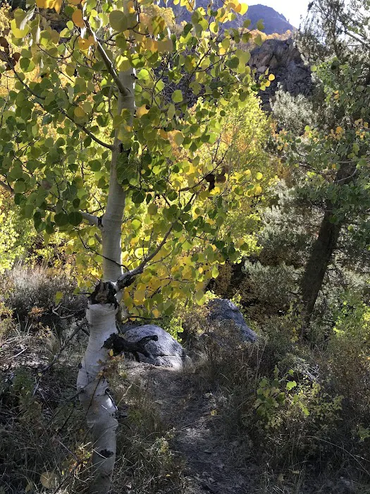 Mountain Glen Campground Picture 6