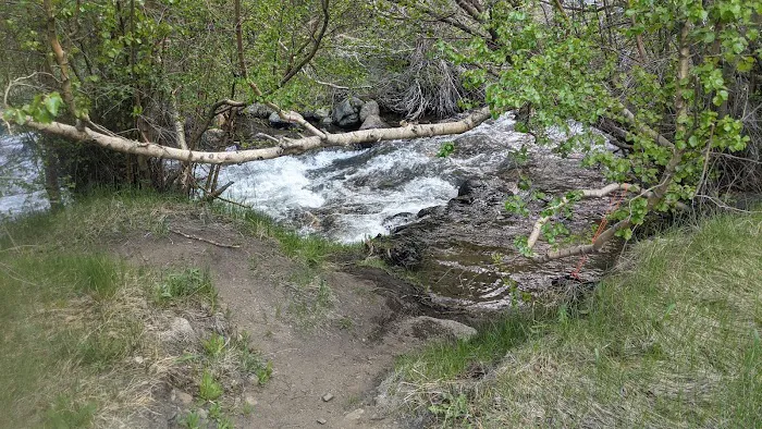 Mountain Glen Campground Picture 9