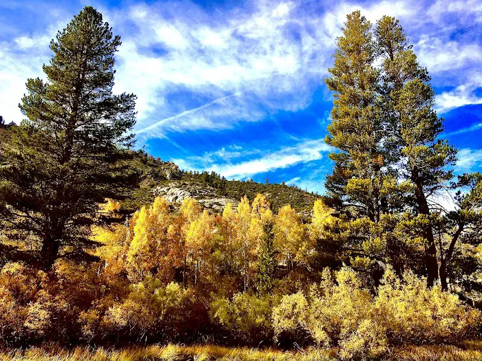 Sabrina Campground Picture 9