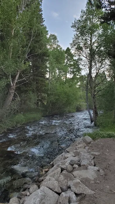 Table Mountain Group Campground Picture 3