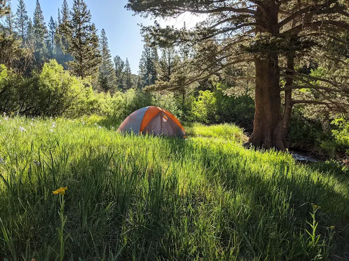 North Lake Campground Picture 4