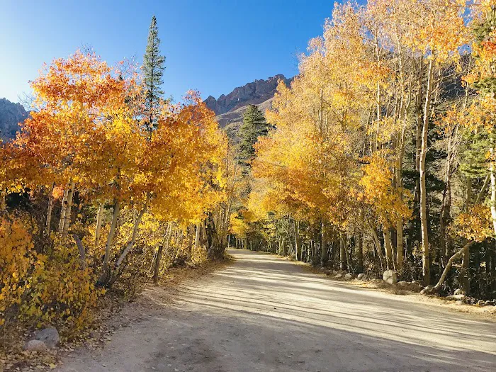 North Lake Campground Picture 7