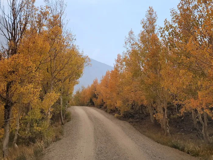 Willow Campground Picture 1