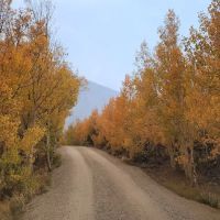 Willow Campground ico