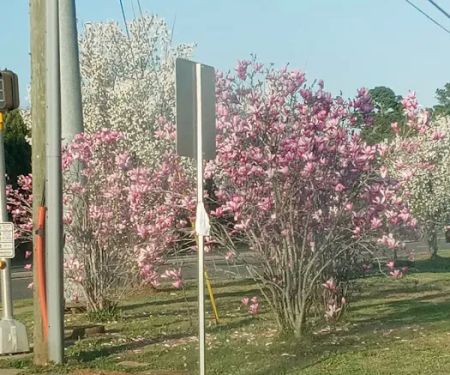 Village Squire Mobile Estates