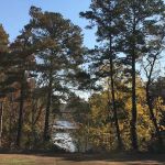 Hidden Cove Mobile Estates