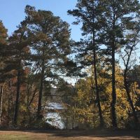 Hidden Cove Mobile Estates ico