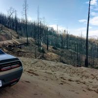 Frog Meadow Recreational Rental Cabin ico