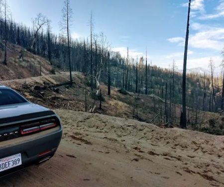 Frog Meadow Recreational Rental Cabin