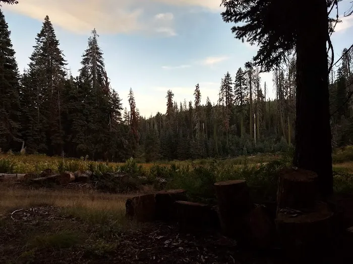 Frog Meadow Recreational Rental Cabin Picture 5