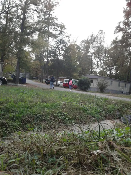 Homestead Village Picture 8