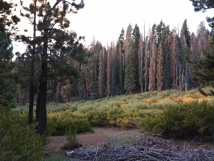 Frog Meadow Campground Picture 1