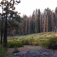 Frog Meadow Campground ico