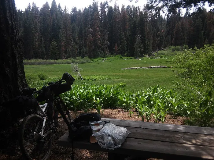 Frog Meadow Campground Picture 4