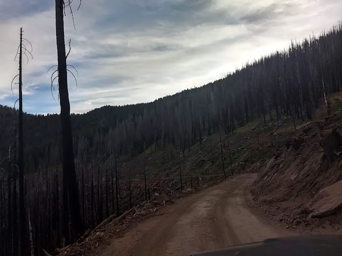 Frog Meadow Campground Picture 3