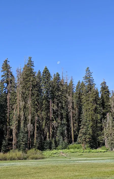 Frog Meadow Campground Picture 6