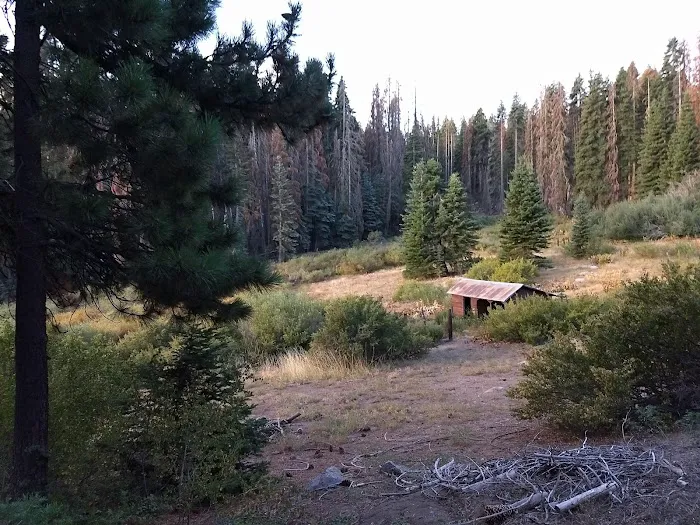 Frog Meadow Campground Picture 7