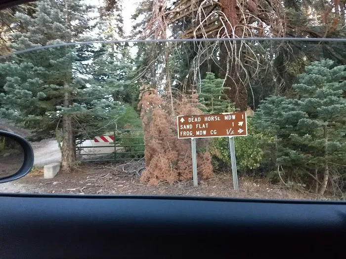 Frog Meadow Campground Picture 10
