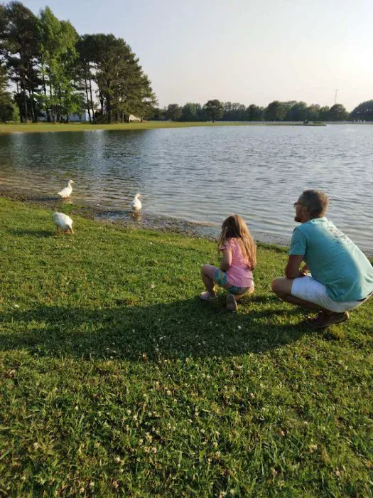 North Pointe RV Resort Picture 7