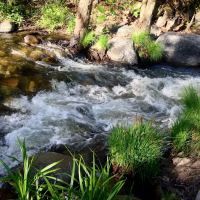 Leavis Flat Campground ico