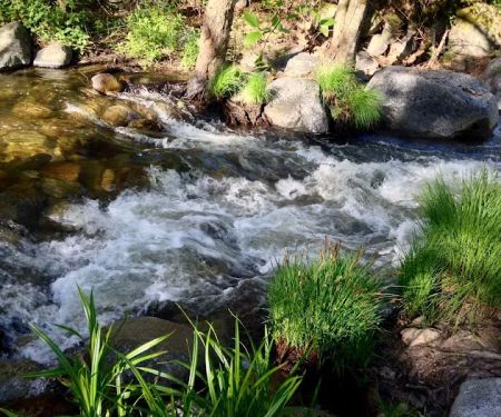 Leavis Flat Campground