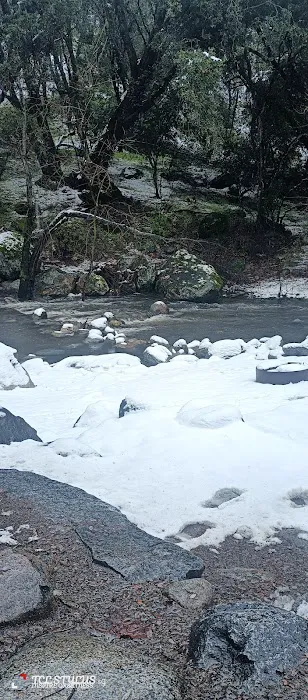 Leavis Flat Campground Picture 8