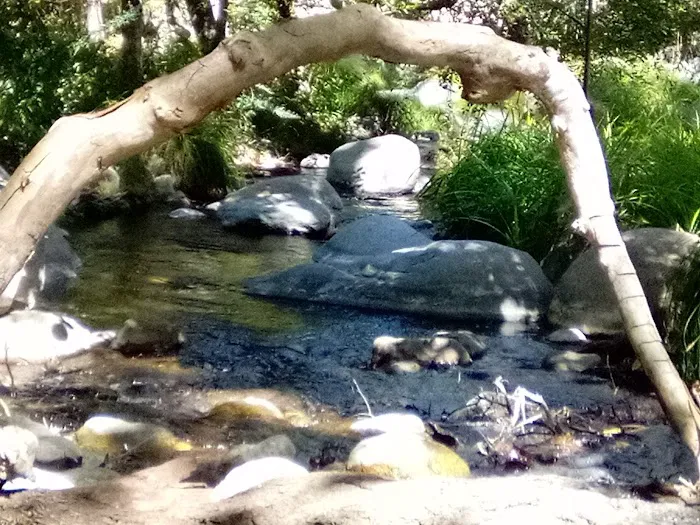 Leavis Flat Campground Picture 9