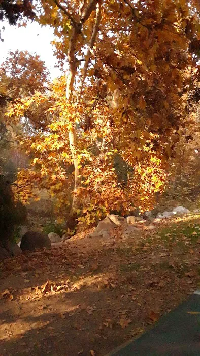 Quail Valley Recreational Village Picture 9