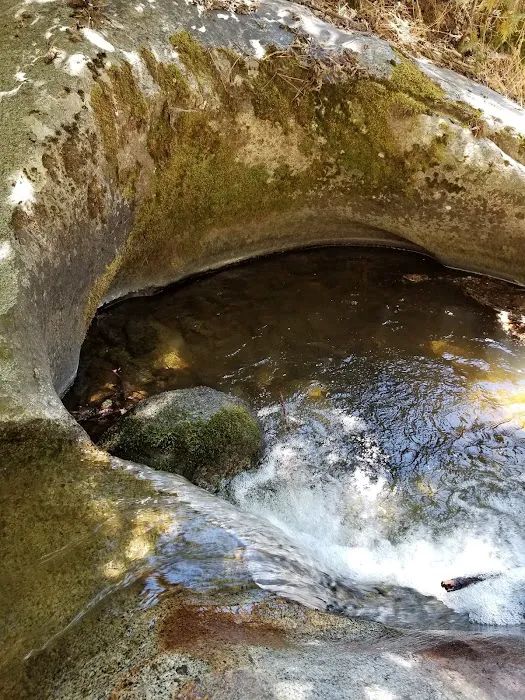 White River Picture 9