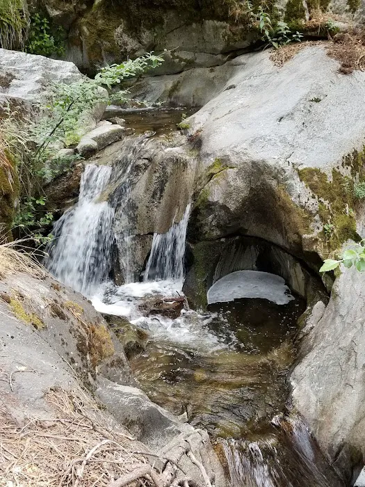 White River Picture 8