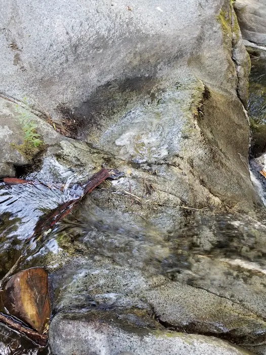 White River Picture 10