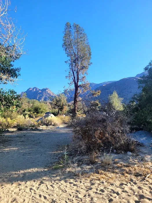 Gold Ledge Campground Picture 2