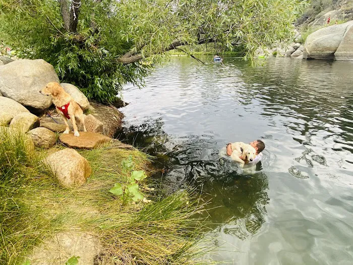Gold Ledge Campground Picture 9