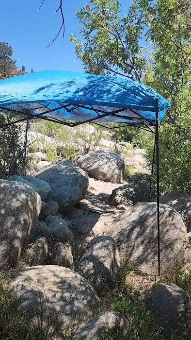 Lower Springhill Campground Picture 7