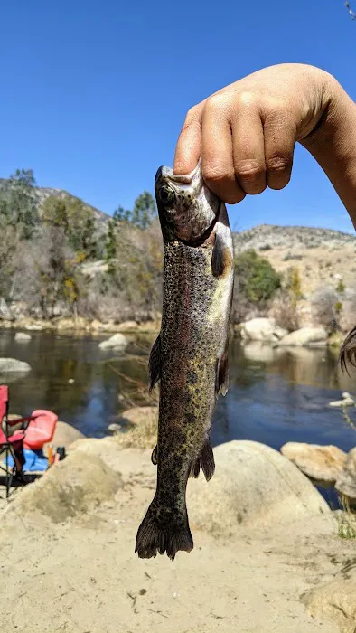 Lower Springhill Campground Picture 1