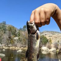 Lower Springhill Campground ico