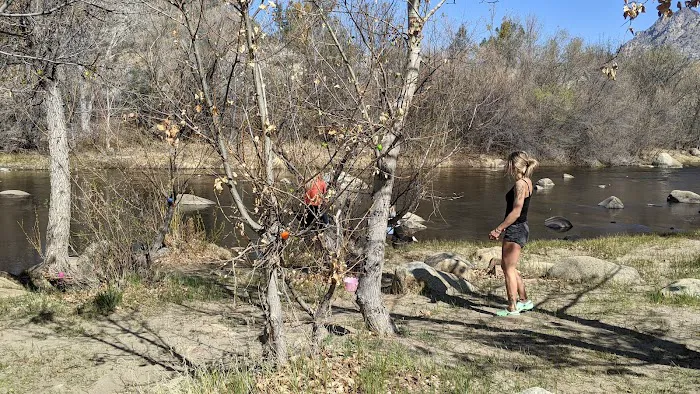 Lower Springhill Campground Picture 8