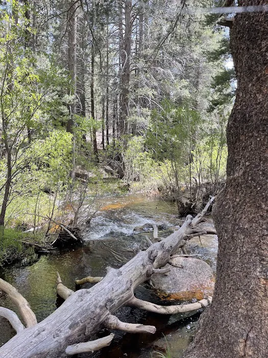 Horse Meadow Campground Picture 9