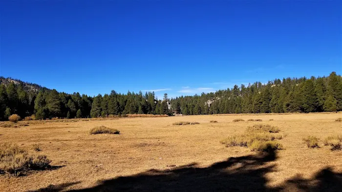 Horse Meadow Campground Picture 7