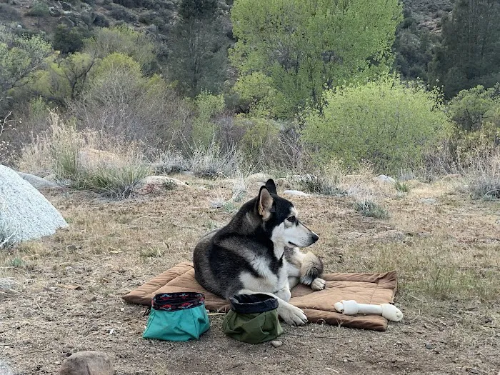 Corral Creek Campground Picture 8
