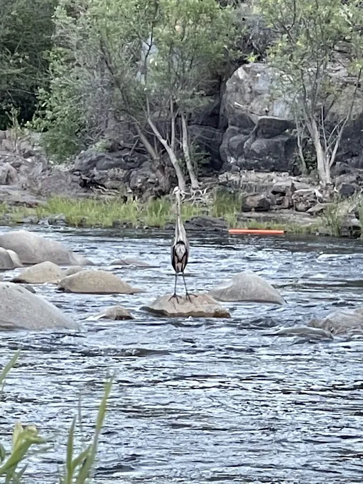 Corral Creek Campground Picture 9