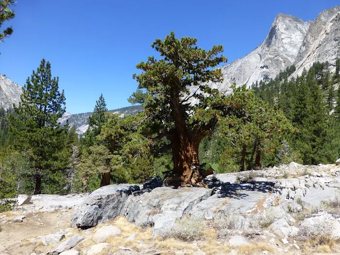 Woods Creek campground Picture 2