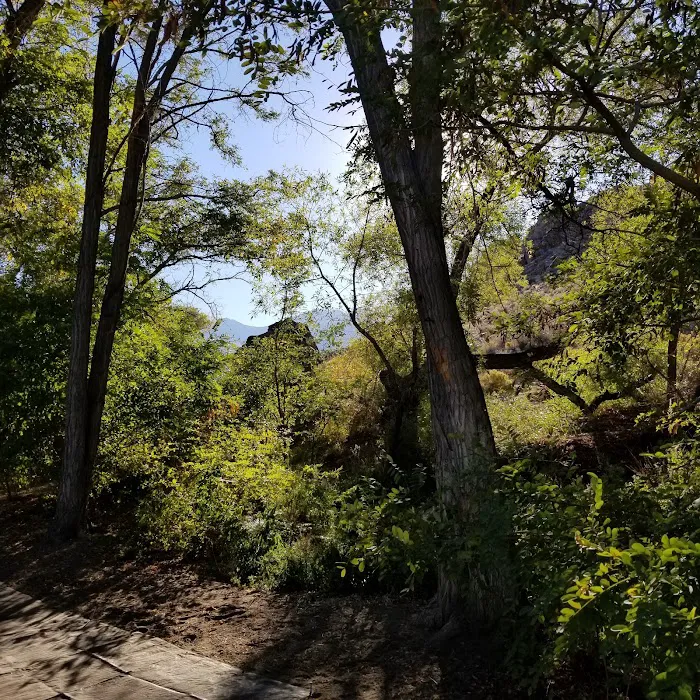 Baker Creek Campground Picture 6
