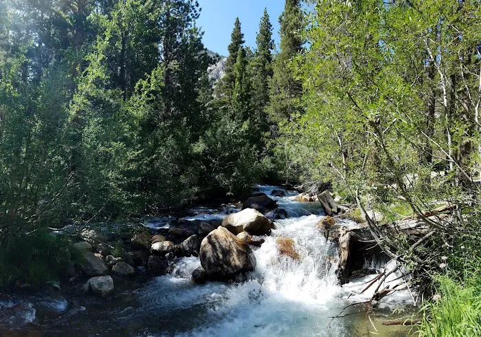 Baker Creek Campground Picture 10