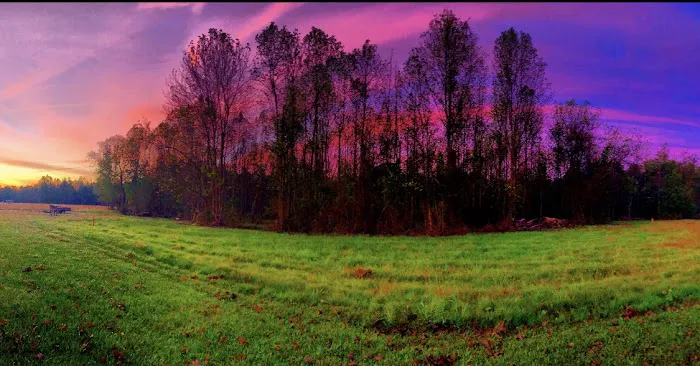 Herring RV and Mobile Village Picture 4