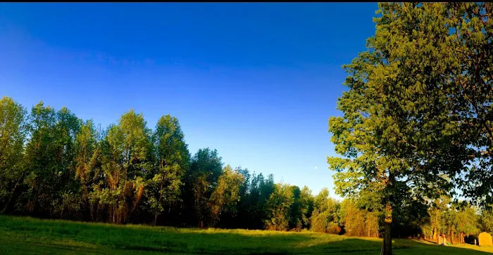 Herring RV and Mobile Village Picture 1