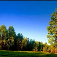 Herring RV and Mobile Village ico