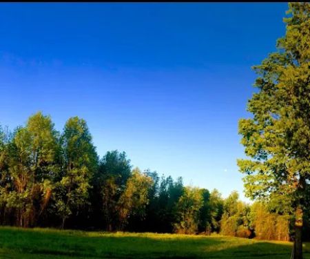 Herring RV and Mobile Village