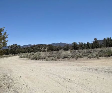 Cedar Flat Group Camps